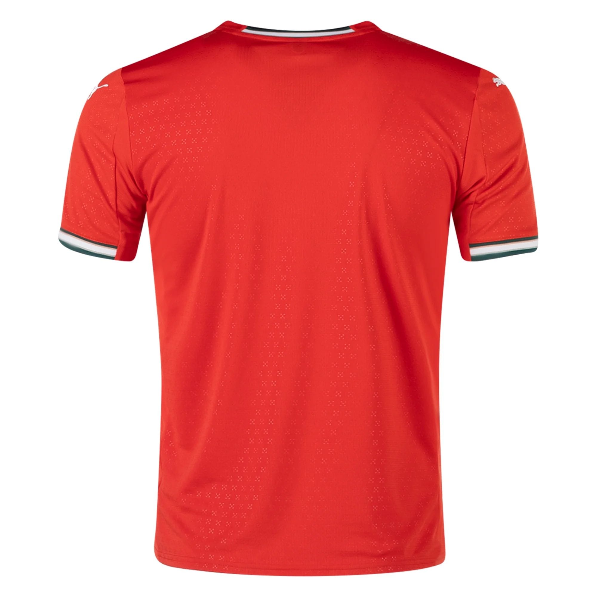 25/26 Portugal Home Jersey
