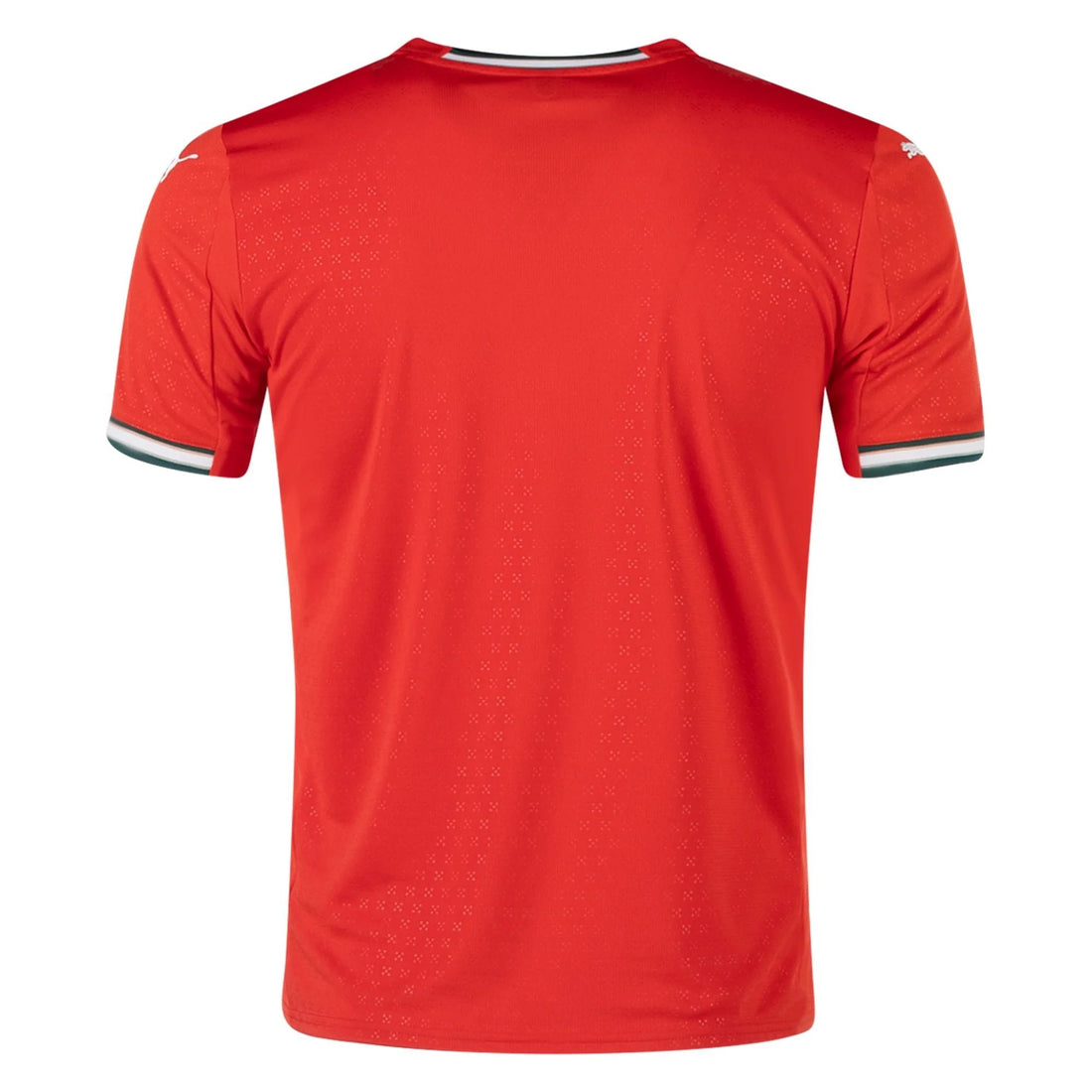 25/26 Portugal Home Jersey